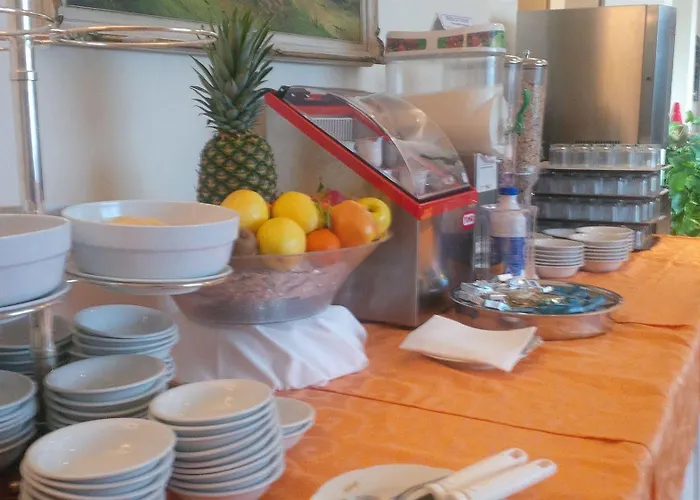 米开朗基罗酒店 4*